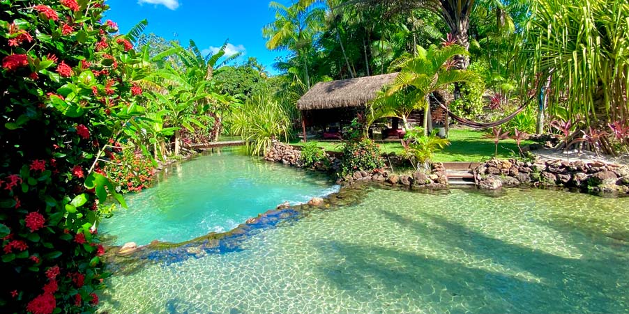 História do Tao Paradise